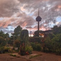 Aussicht vom Atelier